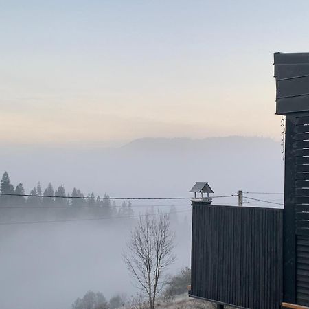 Ecottage Котедж Для Двох У Горах Із Чаном-Джакузі Slavske Exterior photo